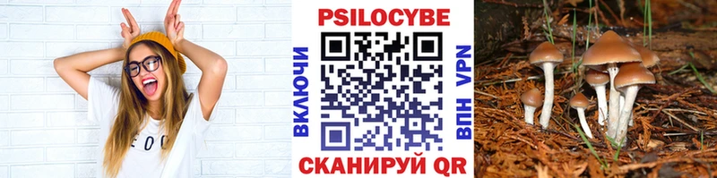 Псилоцибиновые грибы MAGIC MUSHROOMS  Купить где  Гудермес 